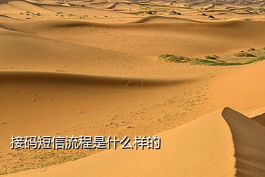 接不到移动的短信验证码