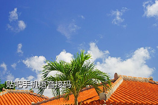 江西卡商的淘宝接码群