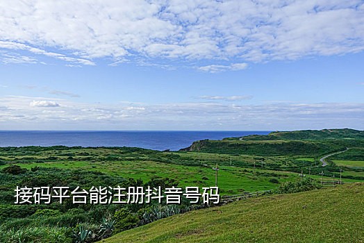 火云接码手机