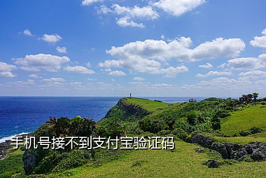火云接码平台苹果版