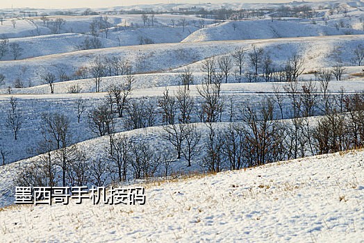 国外微信注册接码平台吗