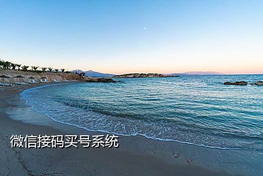 国外手机号接码上限