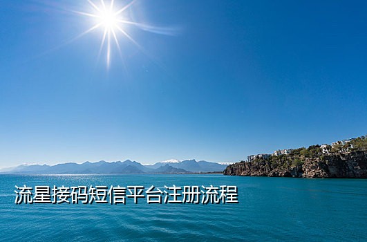 国外手机号接码短信平台怎么接