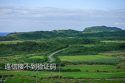 国内接码短信租号怎么弄