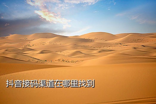 非洲手机号接码平台