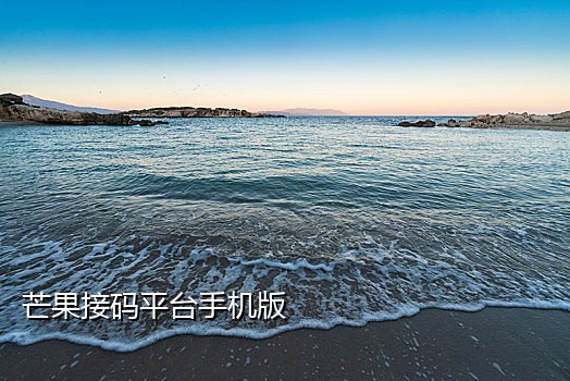 饿了么怎么接码