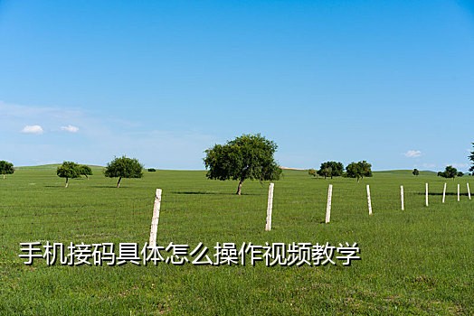 饿了么用什么接码