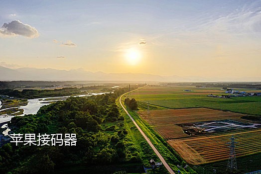饿了么年接码代充