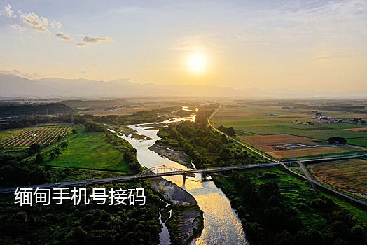 短信接码最新方法图片大全