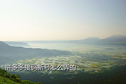 短信接码怎么做