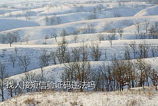 短信接码原理
