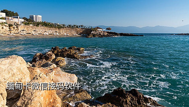 短信接码软件ios