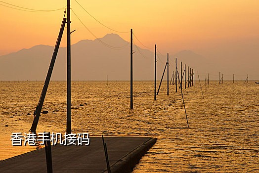短信接码渠道有哪些