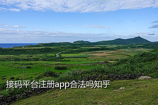 短信接码接口