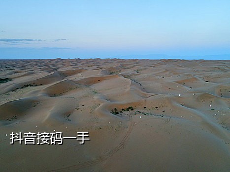 抖音实卡首次接码平台