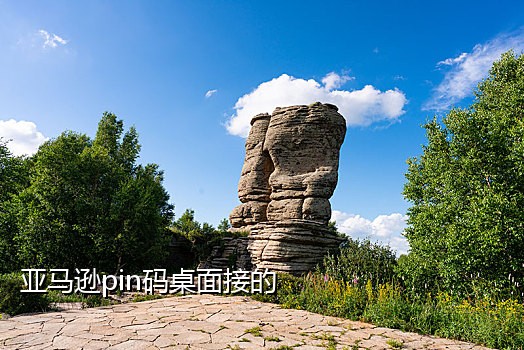 抖音号接码频繁怎么办理