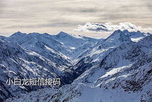 代接短信验证码卡商