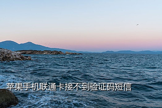 大网卡接不到短信验证码