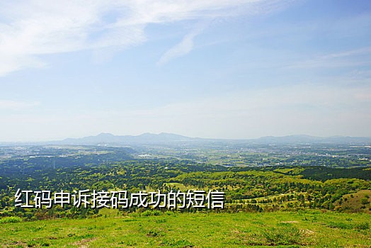 曹操出行用什么接码平台