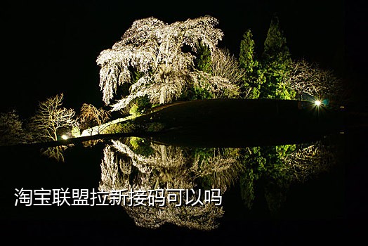 便宜淘宝接码平台