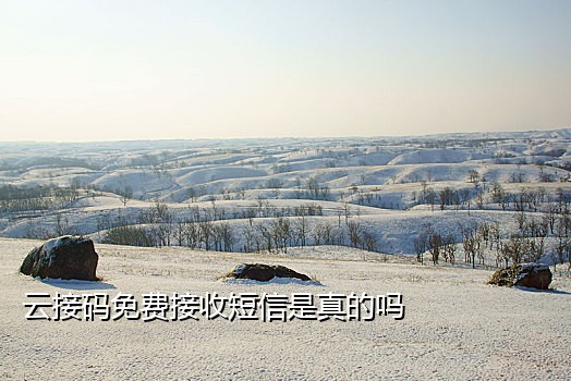 哔哩哔哩接码平台