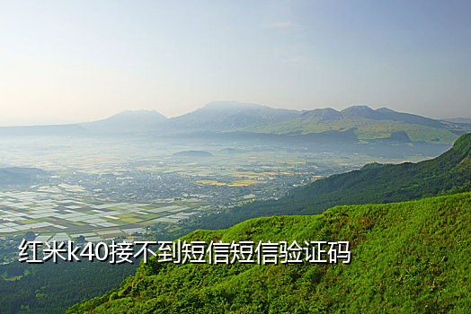 百度云网盘接码平台