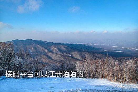 巴基斯坦接码短信怎么接