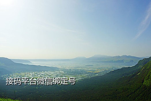 2021短信接码杨教授