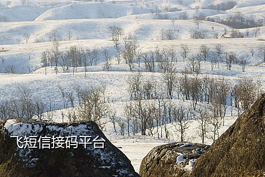 qq登录接不到验证码怎么回事啊