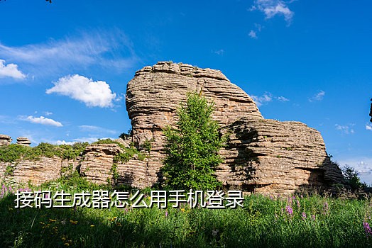 最新虚拟电话号码在线接码