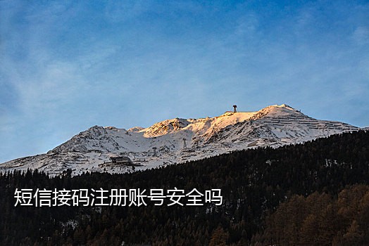 中国手机号短信验证接码