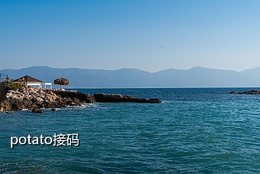 支付宝帐号接码平台