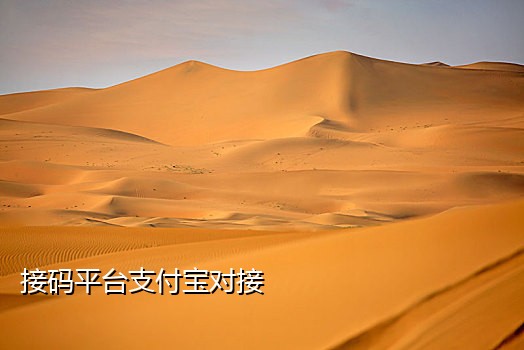 支付宝新用户接码项目