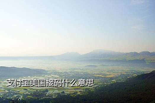 支付宝接码是什么