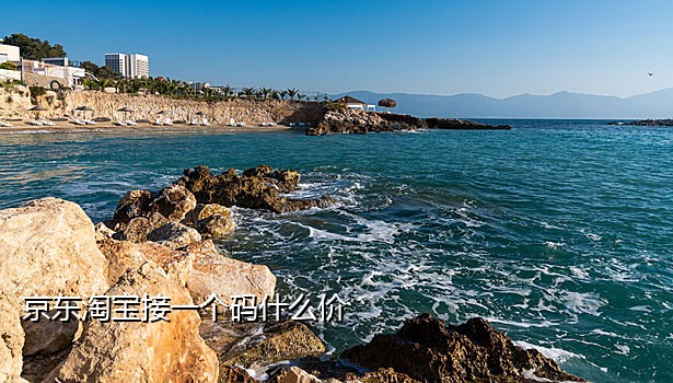 支持ios的手机接码平台