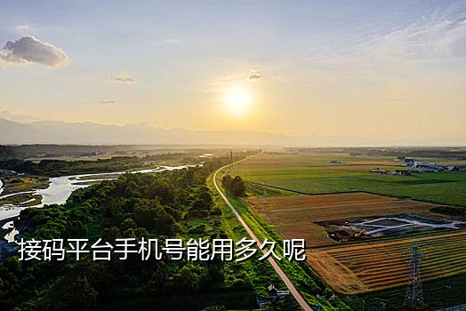 怎么用海外手机号接验证码