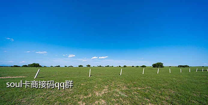 自助接码QQ小号