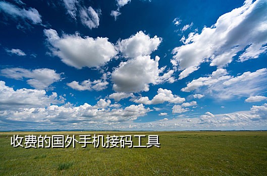 云接码为什么接不到短信