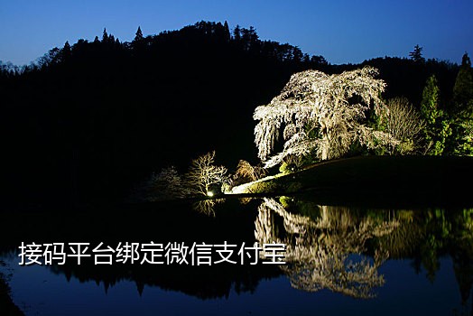 自定义手机号接码