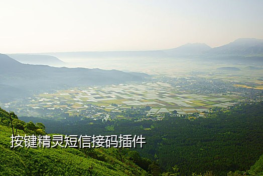 伊对接码平台