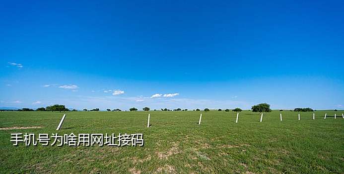 注册账号手机接不到验证码