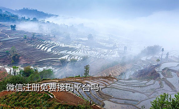 注册闲鱼用什么接码平台