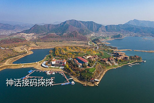 虚拟手机号接码推荐