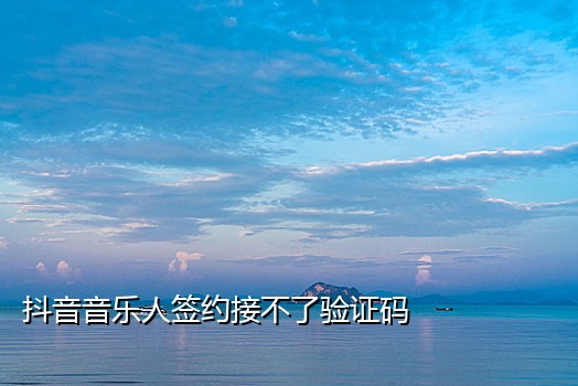 虚拟手机号接码平台原理