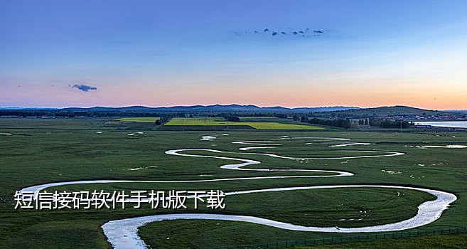 虚拟电话卡怎么接码