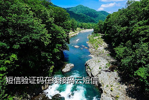 小白接码手机端app