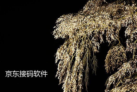 无限接码软件百度云