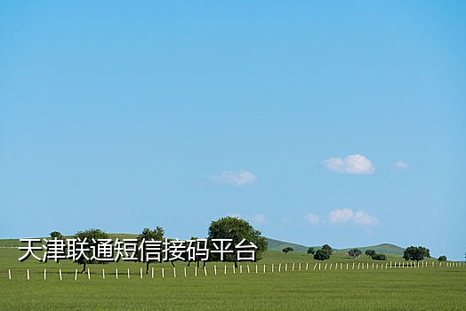 我手机接不到paypal验证码