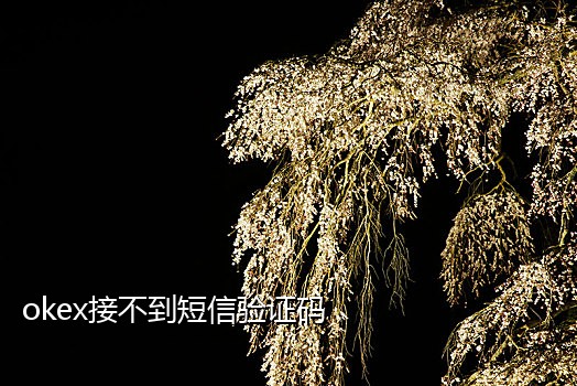 为何手机接不到短信验证码