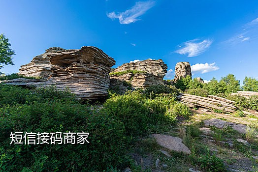 微信接码注册单